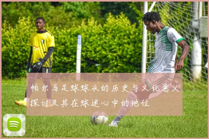 帕尔马足球球衣的历史与文化意义探讨及其在球迷心中的地位
