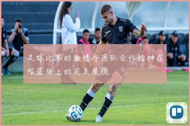 足球比赛的激情与团队合作精神在绿茵场上的完美展现