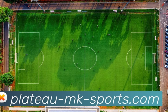 MK体育App平台生态图